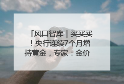 风口智库｜买买买！央行连续7个月增持黄金，专家：金价或仍易涨难跌