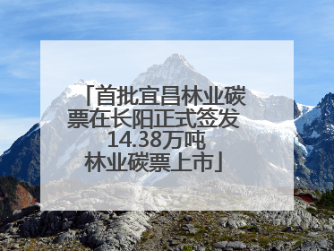 首批宜昌林业碳票在长阳正式签发 14.38万吨林业碳票上市