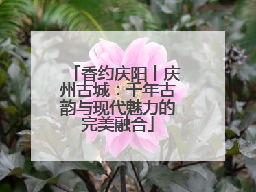 香约庆阳丨庆州古城：千年古韵与现代魅力的完美融合