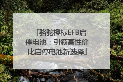 骆驼橙标EFB启停电池：引领高性价比启停电池新选择