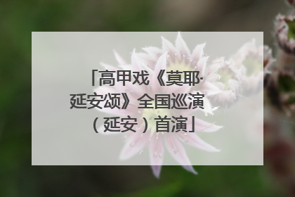 高甲戏《莫耶·延安颂》全国巡演（延安）首演