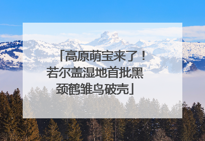 高原萌宝来了！若尔盖湿地首批黑颈鹤雏鸟破壳