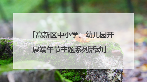 高新区中小学、幼儿园开展端午节主题系列活动