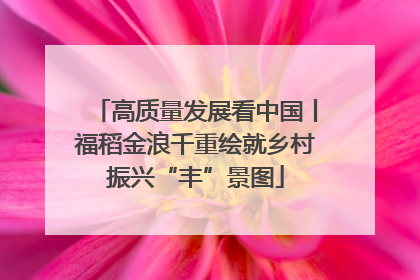 高质量发展看中国丨福稻金浪千重绘就乡村振兴“丰”景图