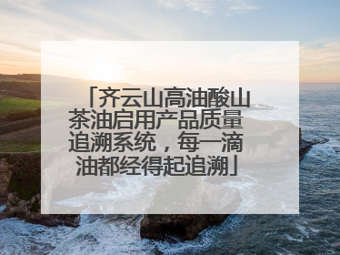 齐云山高油酸山茶油启用产品质量追溯系统，每一滴油都经得起追溯