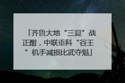 齐鲁大地“三夏”战正酣，中联重科“谷王”机手减损比武夺魁