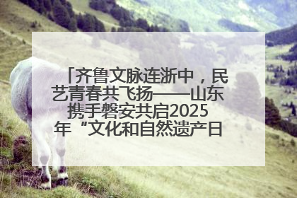 齐鲁文脉连浙中，民艺青春共飞扬——山东携手磐安共启2025年“文化和自然遗产日”系列活动