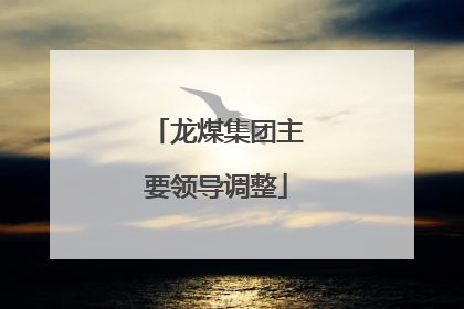 龙煤集团主要领导调整