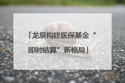 龙泉构建医保基金“即时结算”新格局