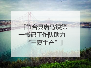 鱼台县唐马镇第一书记工作队助力“三夏生产”