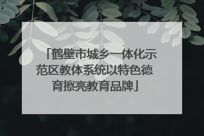 鹤壁市城乡一体化示范区教体系统以特色德育擦亮教育品牌