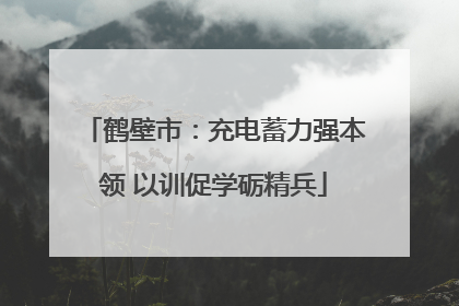 鹤壁市：充电蓄力强本领 以训促学砺精兵