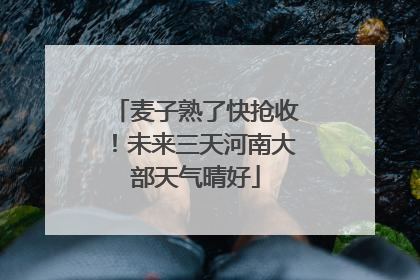 麦子熟了快抢收！未来三天河南大部天气晴好