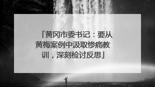 黄冈市委书记：要从黄梅案例中汲取惨痛教训，深刻检讨反思