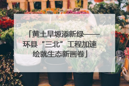 黄土旱塬添新绿——环县“三北”工程加速绘就生态新画卷