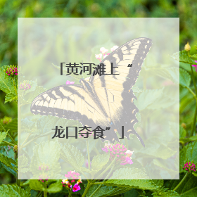 黄河滩上“龙口夺食”