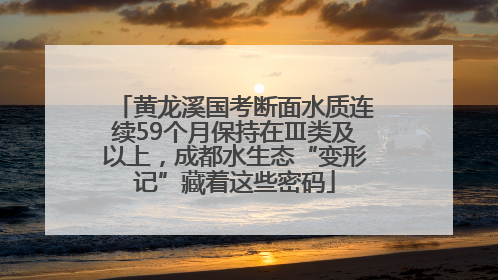 黄龙溪国考断面水质连续59个月保持在Ⅲ类及以上,成都水生态“变形记”藏着这些密码