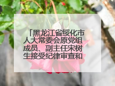 黑龙江省绥化市人大常委会原党组成员、副主任宋树生接受纪律审查和监察调查