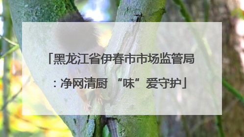 黑龙江省伊春市市场监管局：净网清厨 “味”爱守护
