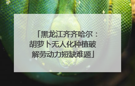 黑龙江齐齐哈尔：胡萝卜无人化种植破解劳动力短缺难题