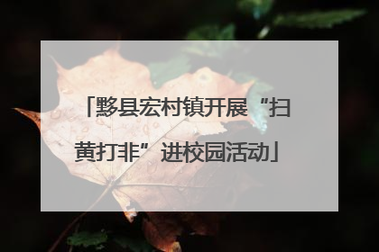 黟县宏村镇开展“扫黄打非”进校园活动