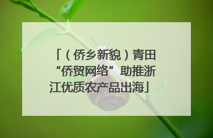 （侨乡新貌）青田“侨贸网络”助推浙江优质农产品出海