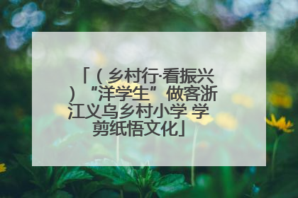 （乡村行·看振兴）“洋学生”做客浙江义乌乡村小学 学剪纸悟文化