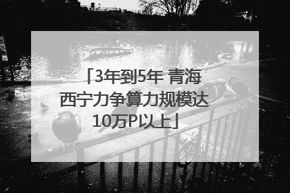 3年到5年 青海西宁力争算力规模达10万P以上