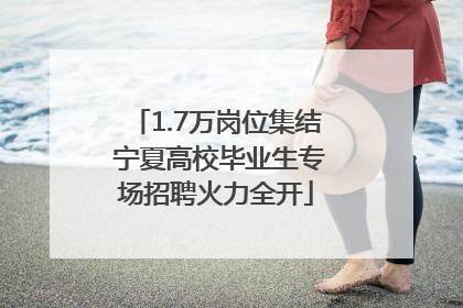1.7万岗位集结 宁夏高校毕业生专场招聘火力全开