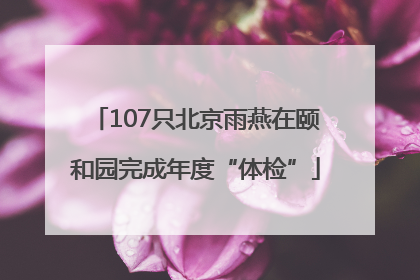 107只北京雨燕在颐和园完成年度“体检”
