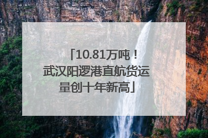 10.81万吨！武汉阳逻港直航货运量创十年新高