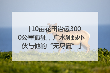10亩花田治愈3000公里孤独，广水独眼小伙与他的“无尽夏”