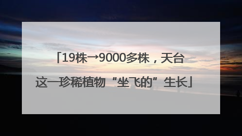 19株→9000多株，天台这一珍稀植物“坐飞的”生长