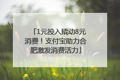 1元投入撬动8元消费！支付宝助力合肥激发消费活力