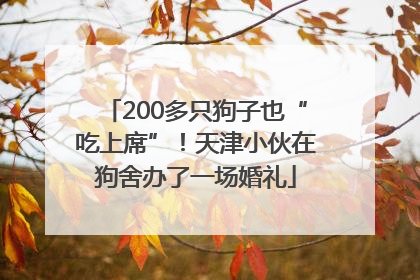 200多只狗子也“吃上席”！天津小伙在狗舍办了一场婚礼