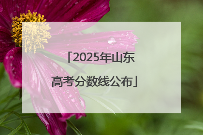 2025年山东高考分数线公布