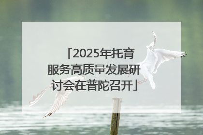 2025年托育服务高质量发展研讨会在普陀召开