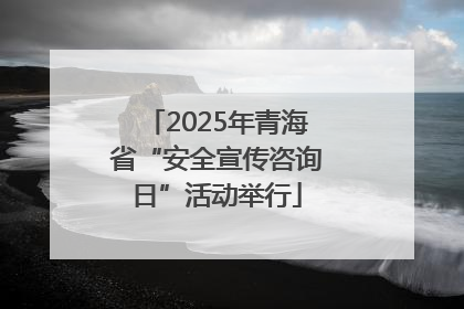 2025年青海省“安全宣传咨询日”活动举行