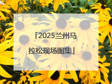 2025兰州马拉松现场图集