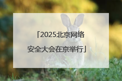 2025北京网络安全大会在京举行