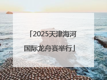 2025天津海河国际龙舟赛举行