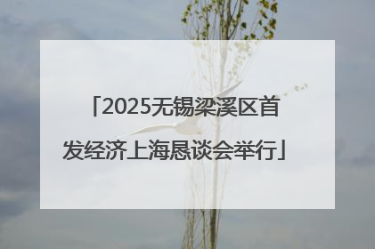2025无锡梁溪区首发经济上海恳谈会举行