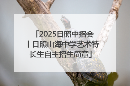 2025日照中招会丨日照山海中学艺术特长生自主招生简章