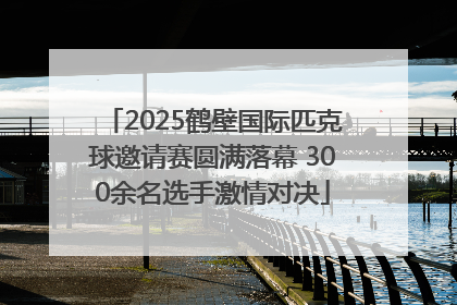 2025鹤壁国际匹克球邀请赛圆满落幕 300余名选手激情对决