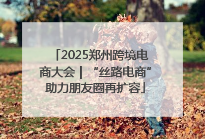 2025郑州跨境电商大会｜“丝路电商”助力朋友圈再扩容
