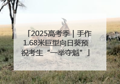 2025高考季｜手作1.68米巨型向日葵预祝考生“一举夺魁”