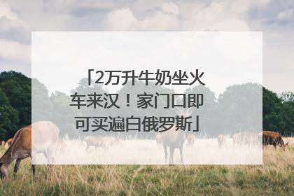 2万升牛奶坐火车来汉！家门口即可买遍白俄罗斯