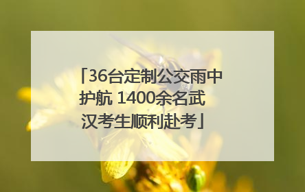 36台定制公交雨中护航 1400余名武汉考生顺利赴考