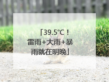 39.5℃！雷雨+大雨+暴雨就在明晚