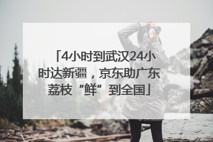 4小时到武汉24小时达新疆，京东助广东荔枝“鲜”到全国